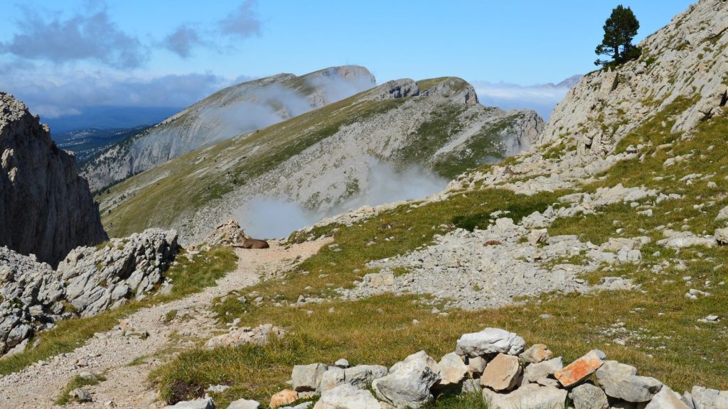 Sentier minéral dans un paysage de montagne du Vercors, ambiance Alpes françaises