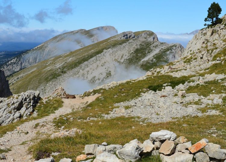 Sentier minéral dans un paysage de montagne du Vercors, ambiance Alpes françaises