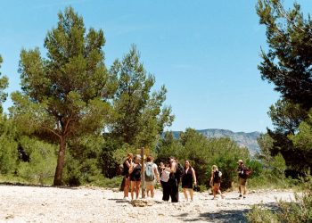 Groupe de randonneuses sur un sentier en pleine nature