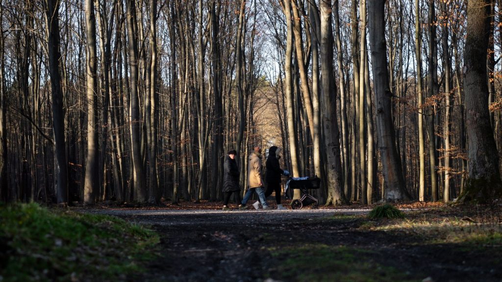 Famille avec poussette sur un chemin forestier