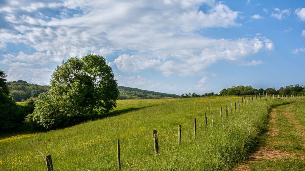 Chemin rural dans une prairie française, photo d’illustration