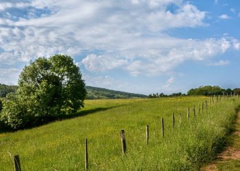 Chemin rural dans une prairie française, photo d’illustration
