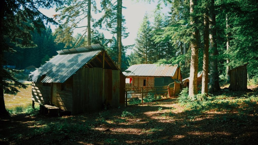 Hébergements de vacances en bois au milieu des arbres