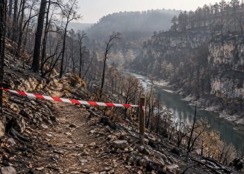 Sentier barré dans une gorge calcaire brûlée par un incendie en Dordogne
