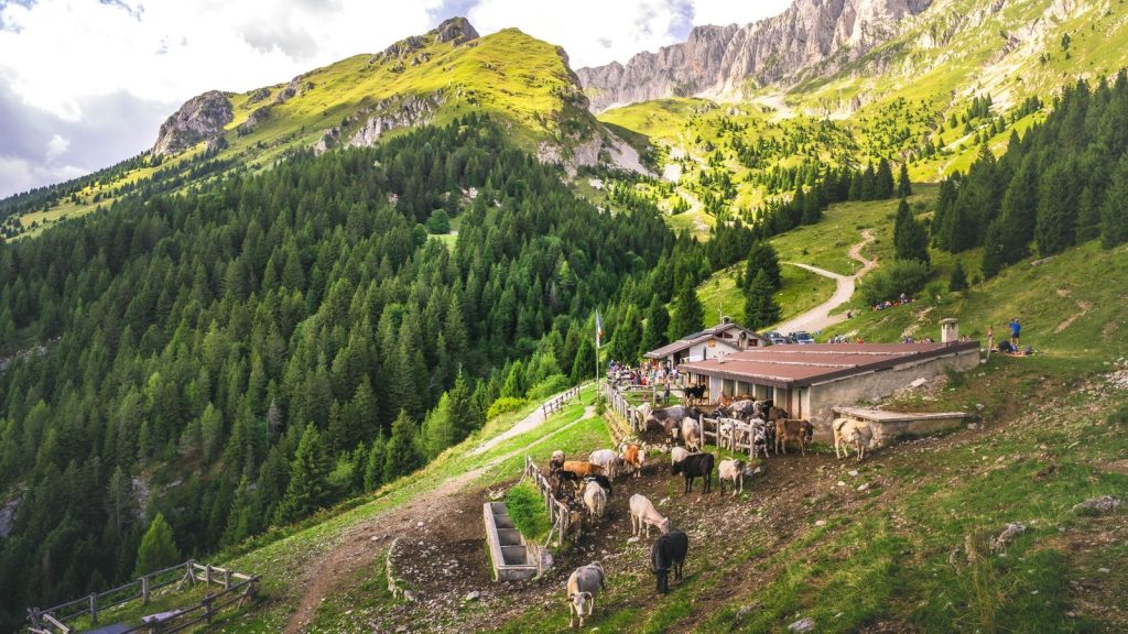 Bivouac en montagne : éleveurs et bergers sifflent la fin de l’anarchie