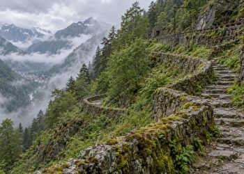 Ancien sentier en lacets avec murs de soutènement en pierre sur un versant boisé des Pyrénées