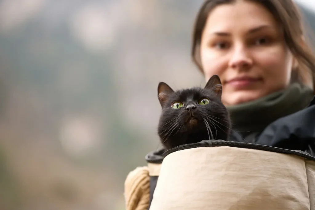 chat sauvage rando