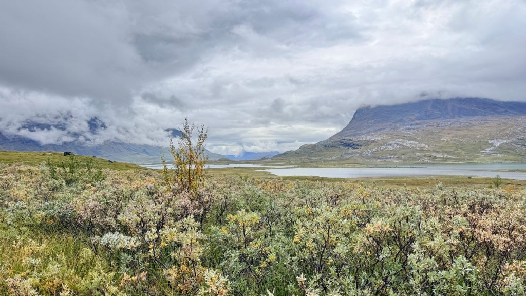 Paysage de toundra arctique avec un lac et des montagnes sous un ciel nuageux