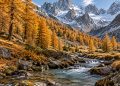 Mélèzes dorés en haute vallée alpine, sol couvert d’aiguilles, torrent en contrebas et pics rocheux déjà enneigés en arrière-plan