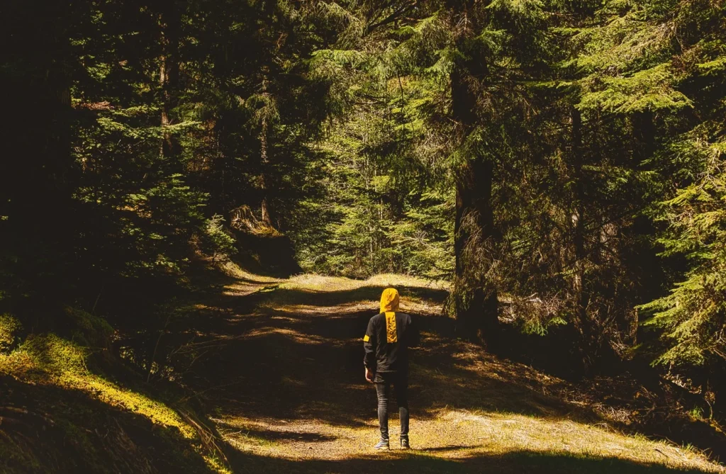 Sentier de randonnée dans le bocage vendéen