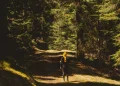 Sentier de randonnée dans le bocage vendéen