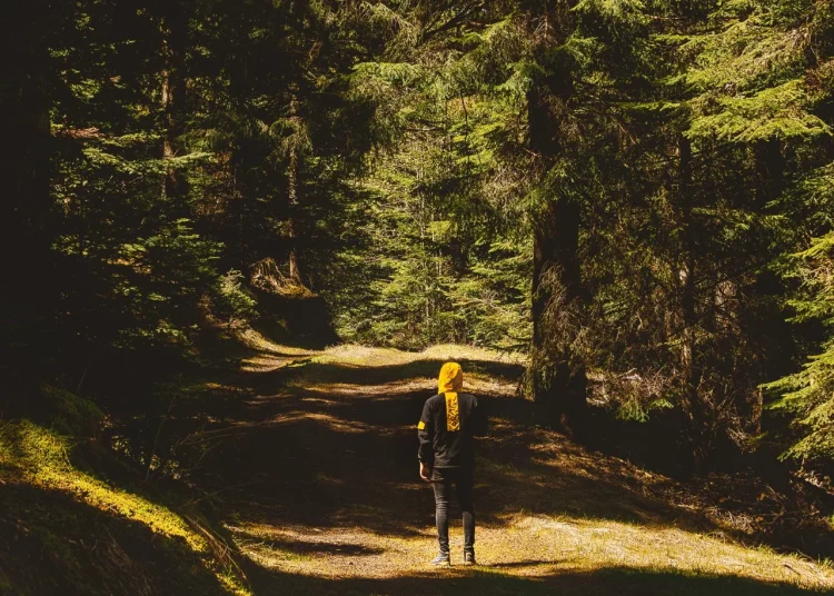 Sentier de randonnée dans le bocage vendéen