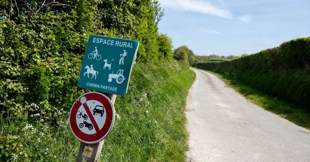 Sentier de randonnée bordé de haies dans le bocage