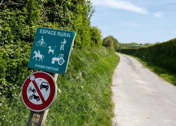 Sentier de randonnée bordé de haies dans le bocage