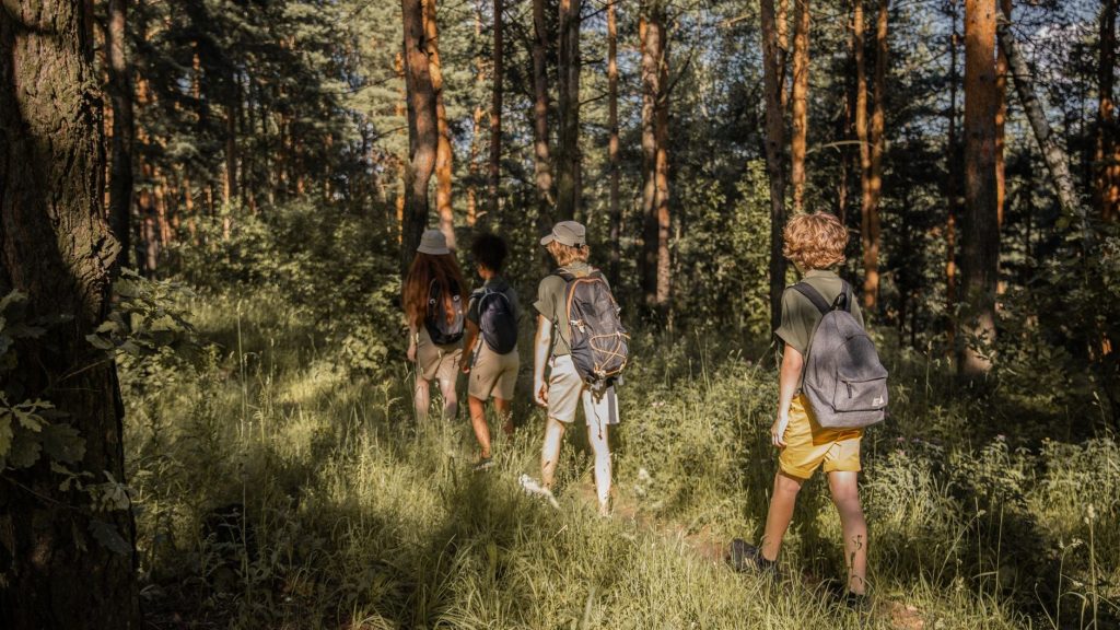 Groupe d’adolescents avec sacs à dos marchant de dos dans une forêt