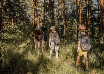 Groupe d’adolescents avec sacs à dos marchant de dos dans une forêt