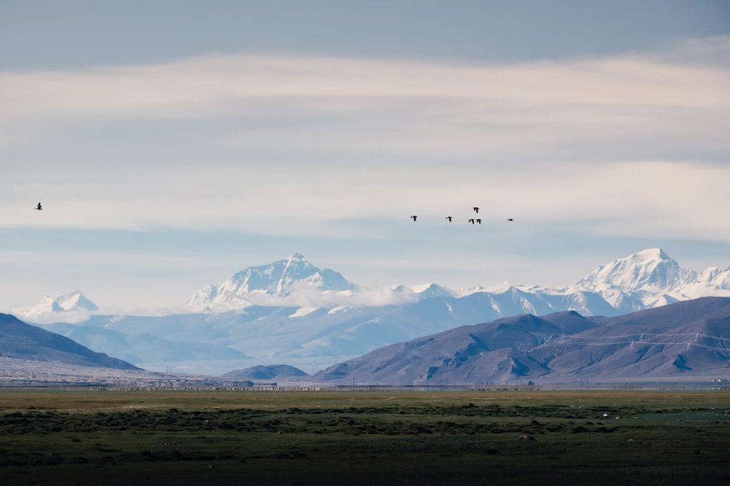 oies himalaya