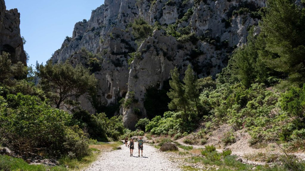 Sentier de randonnée provençal serpentant entre des falaises calcaires