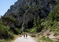 Sentier de randonnée provençal serpentant entre des falaises calcaires